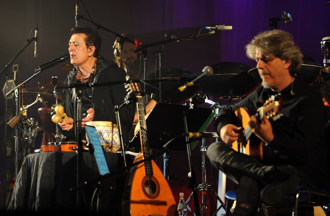 Concierto de Manolo García en el Polideportivo Huerta del Rey de Valladolid. 
