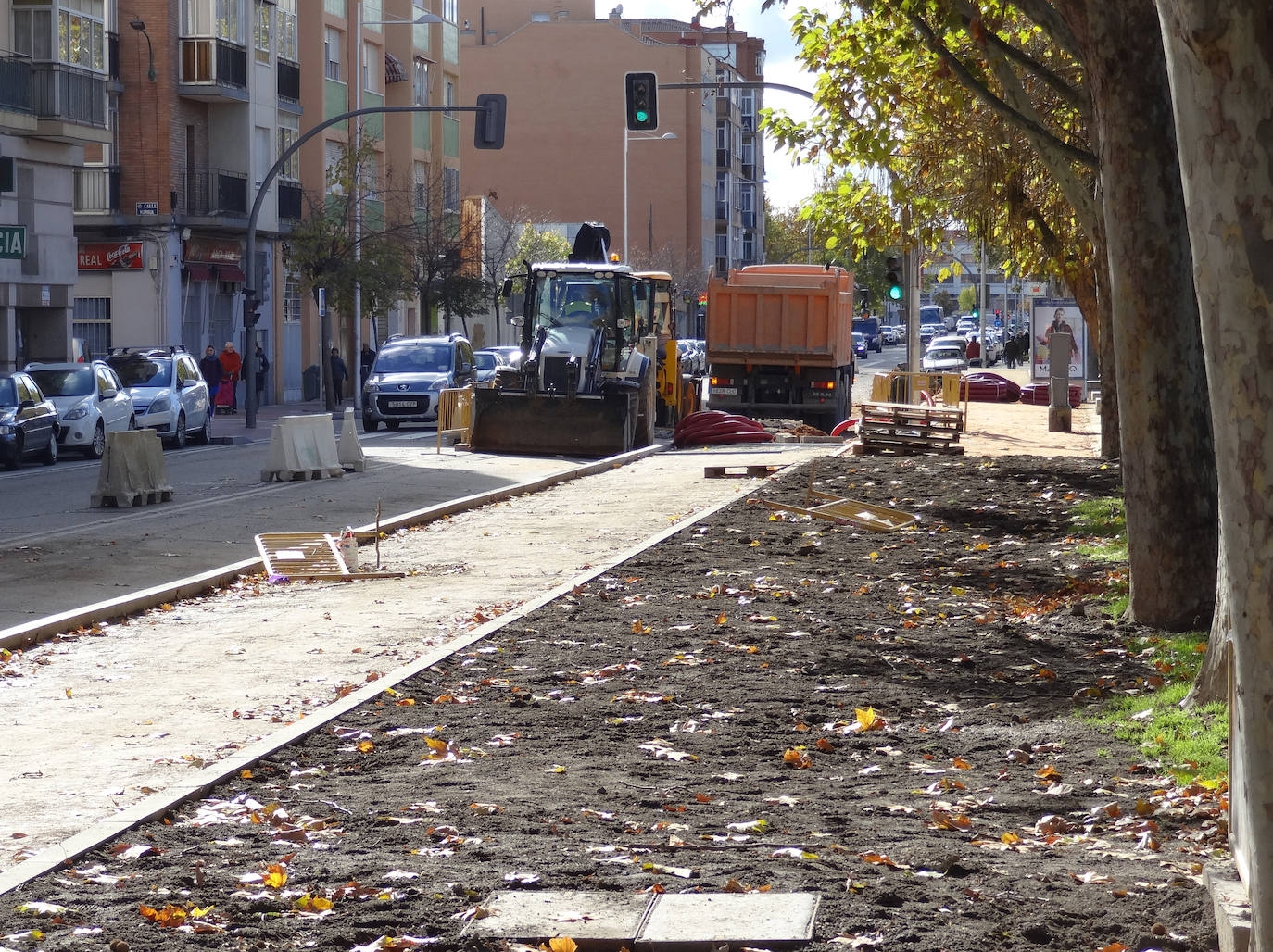 Reforma de la calle Arca Real y del Parque de la Paz. 