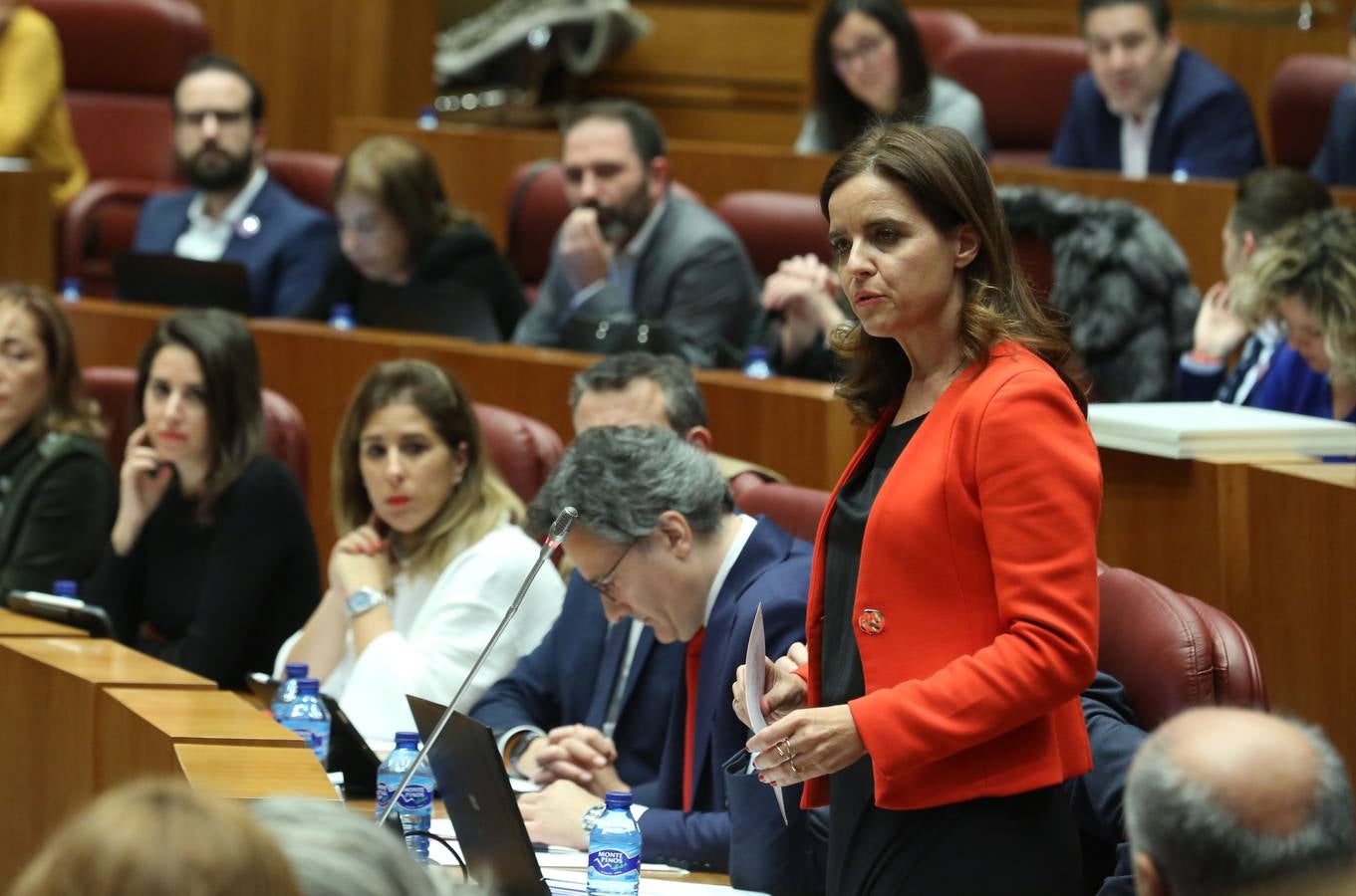 La Junta de Castilla y León prepara una batería de medidas para ponerlas en marcha contra la «soledad mal gestionada», según avanzó hoy la consejera de Familia e Igualdad de Oportunidades, Isabel Blanco