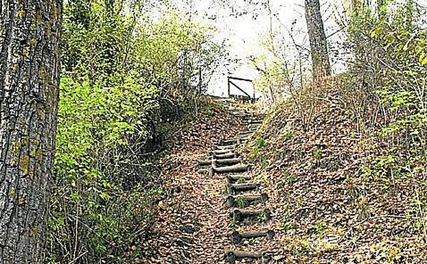 Escalones hacia el pinar desde la ribera. 