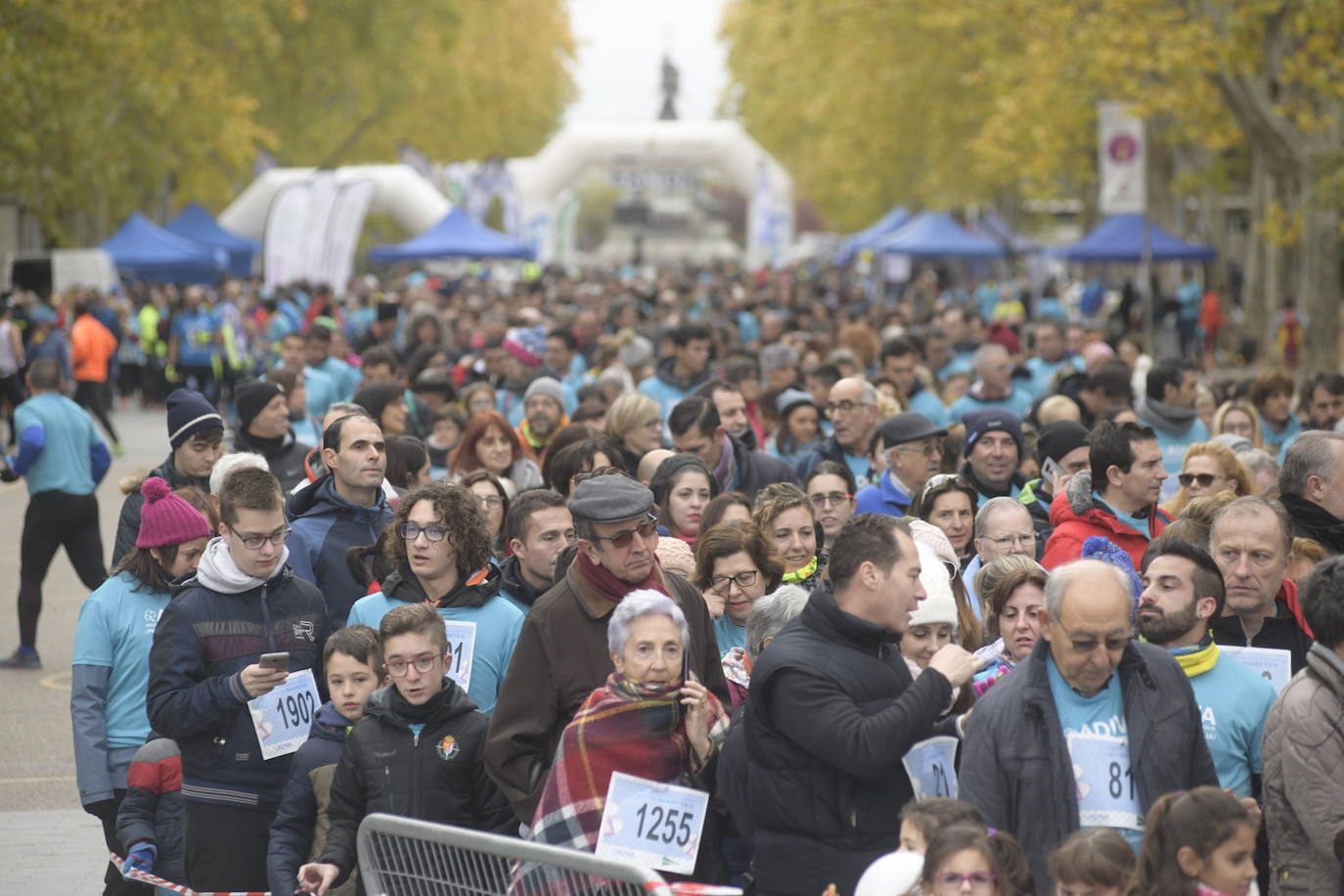 V Marcha por la Diabetes. 