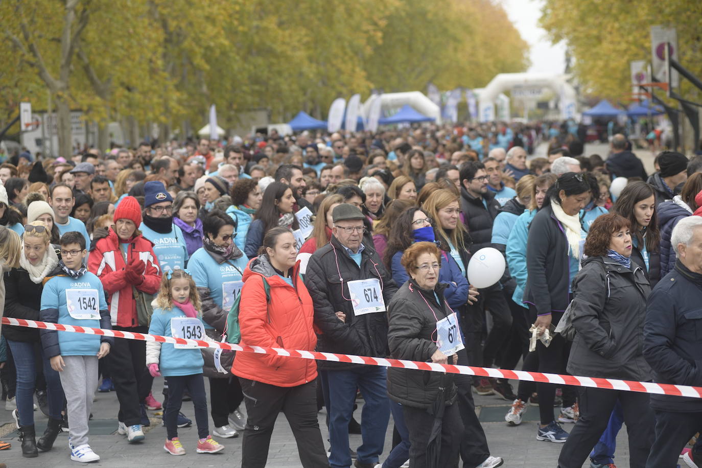 V Marcha por la Diabetes. 