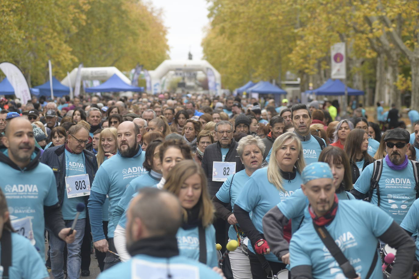 V Marcha por la Diabetes. 