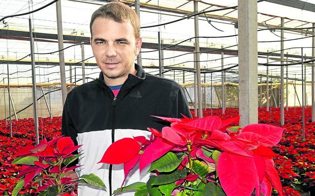 José Gabriel Valero, en su invernadero de El Ejido. 