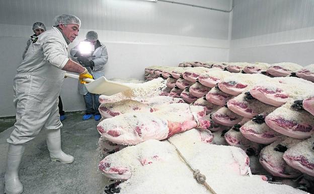 Proceso de salazón de los jamones en las instalaciones de Blázquez en Peñaranda de Bracamonte.