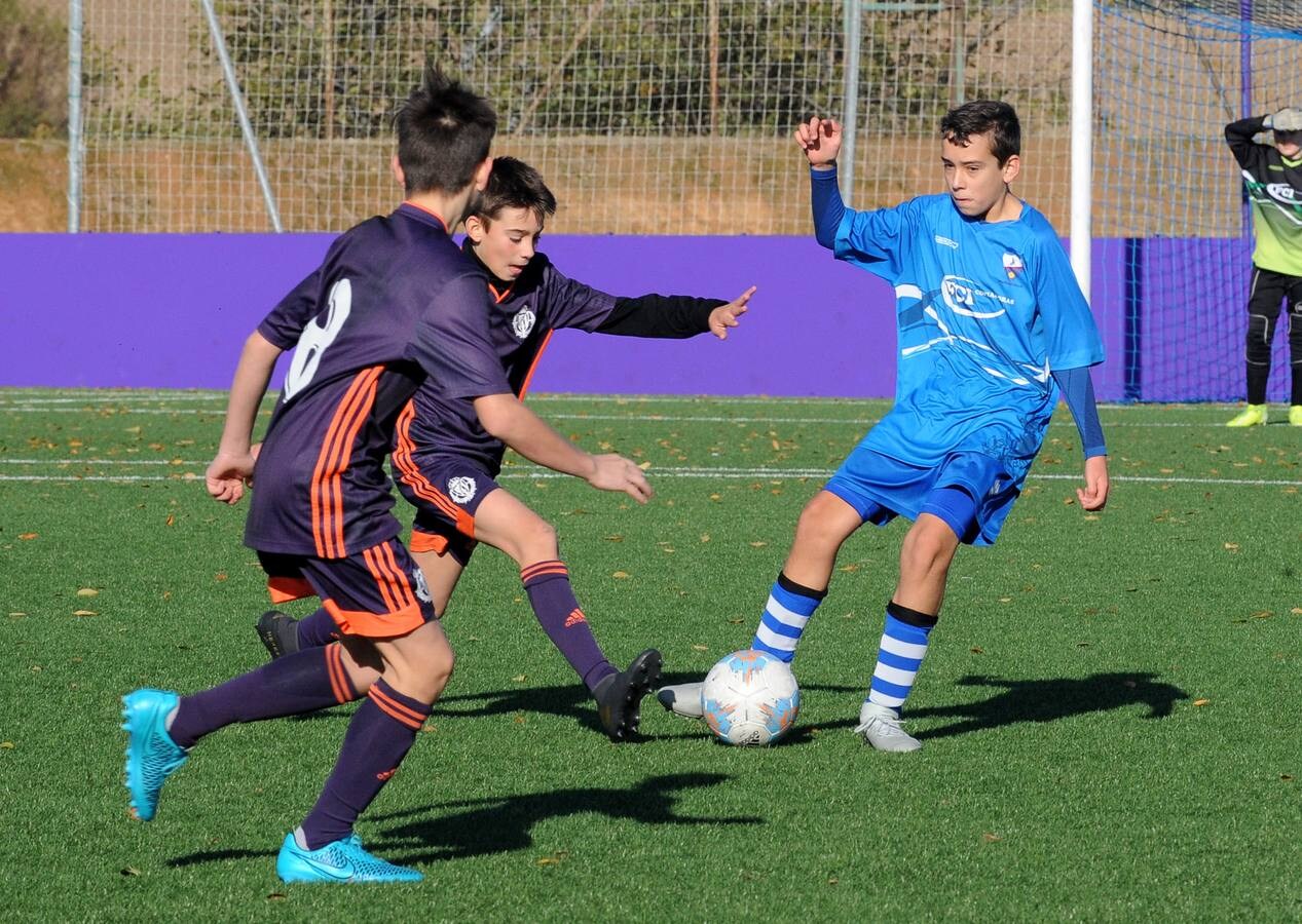 Fotos: Deporte Base del 23 y 24 de noviembre. Valladolid