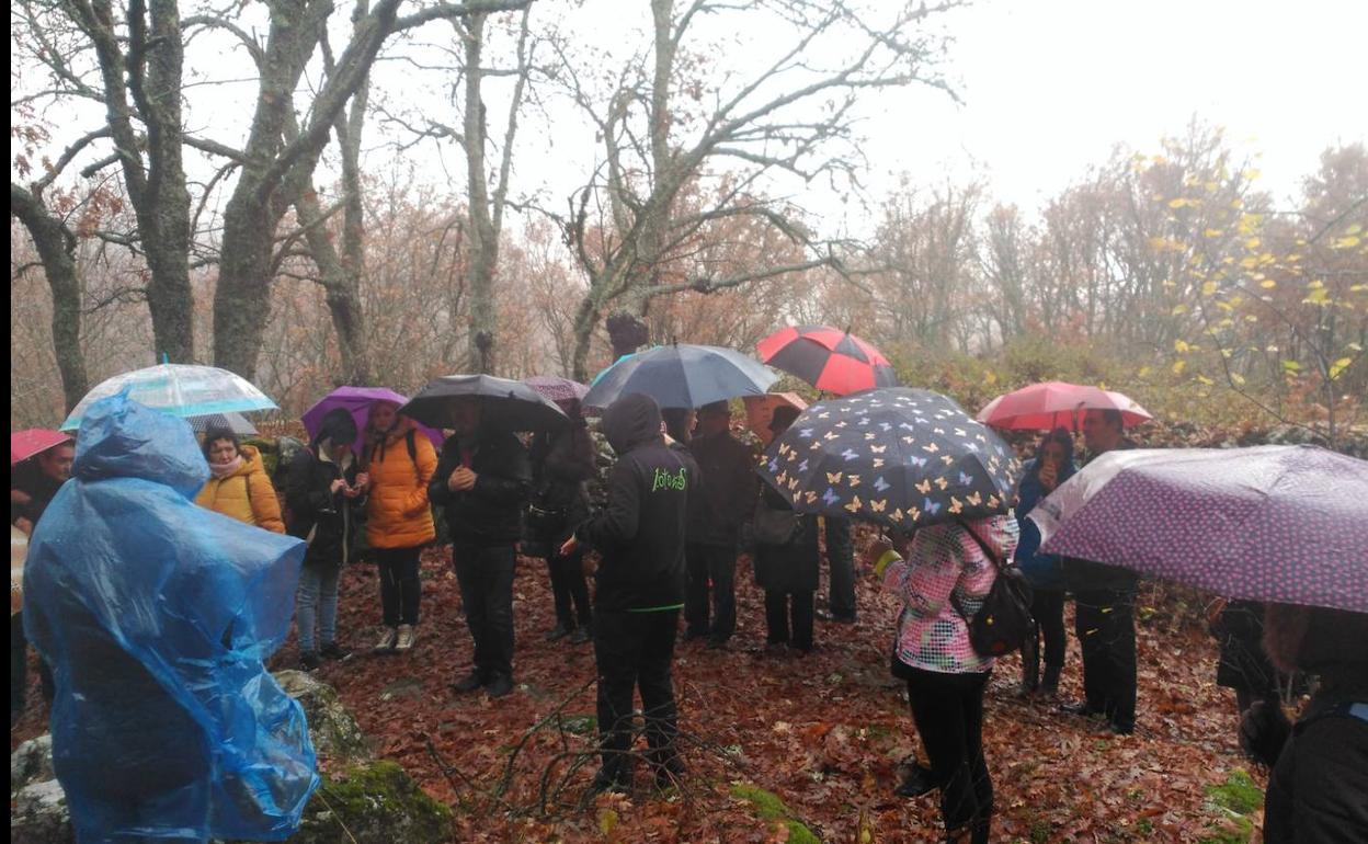 Un momento de la ruta senderista realizada ayer por el entorno de Candelario.