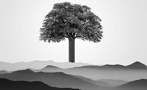 Emergencia climática: urgencia y valentía