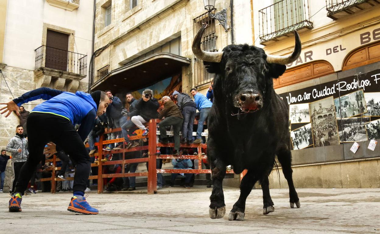 Toro del Aguardiente en la calle Madrid.