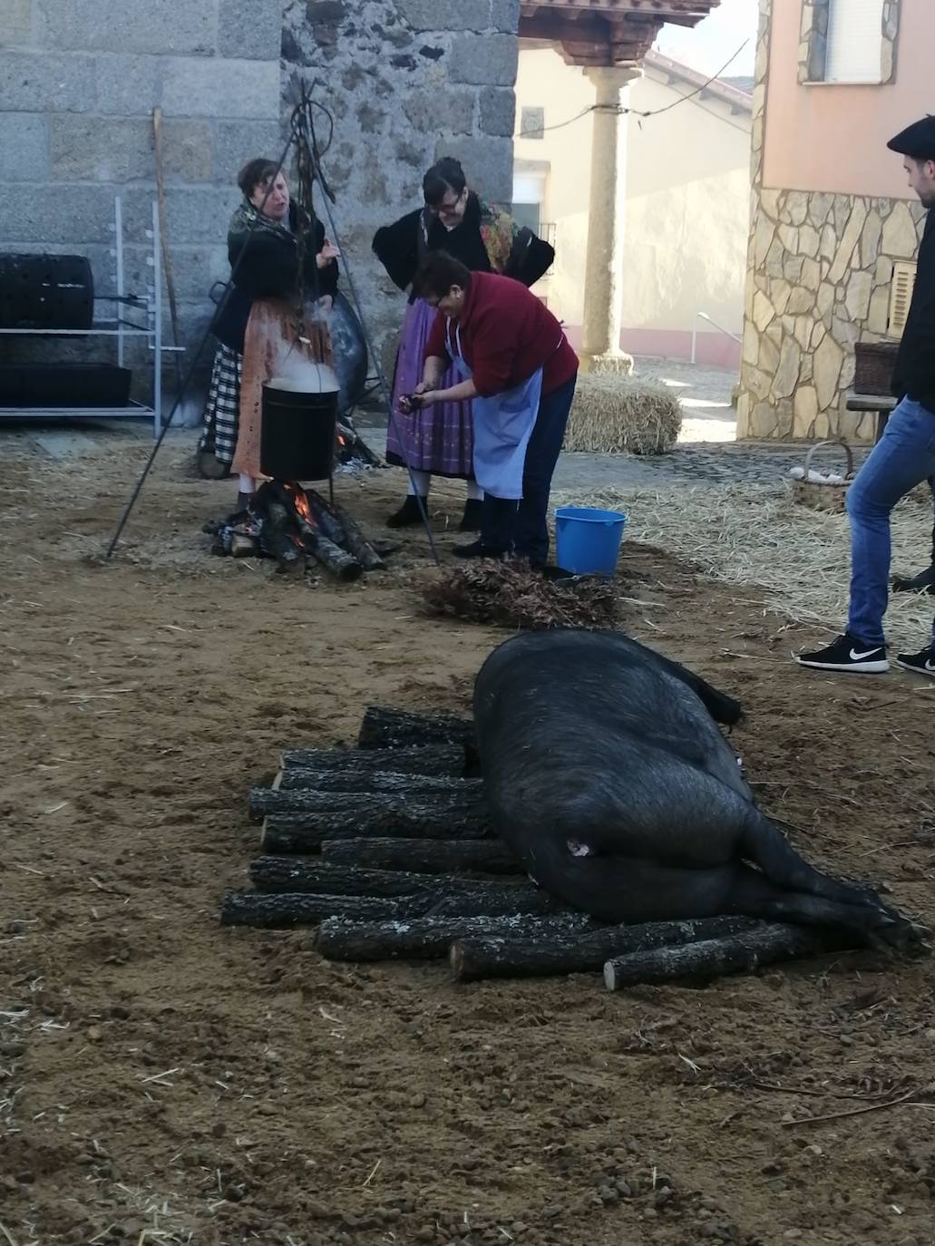 El municipio de El Cabaco se sumó ayer al circuito de la Fiesta de la Matanza Tradicional promovido por la Diputación y lo hizo con gran éxito de público desde primera hora de la mañana. El cerdo, que pesaba 220 kilos, fue despiezado y sus piezas subastadas, obteniéndose unos 500 euros. Los asistentes pudieron degustar un pincho a base de chichas y huevo frito. La comida consistió en patatas meneás y carne asada, amenizada por el tamborilero local Agustín García.