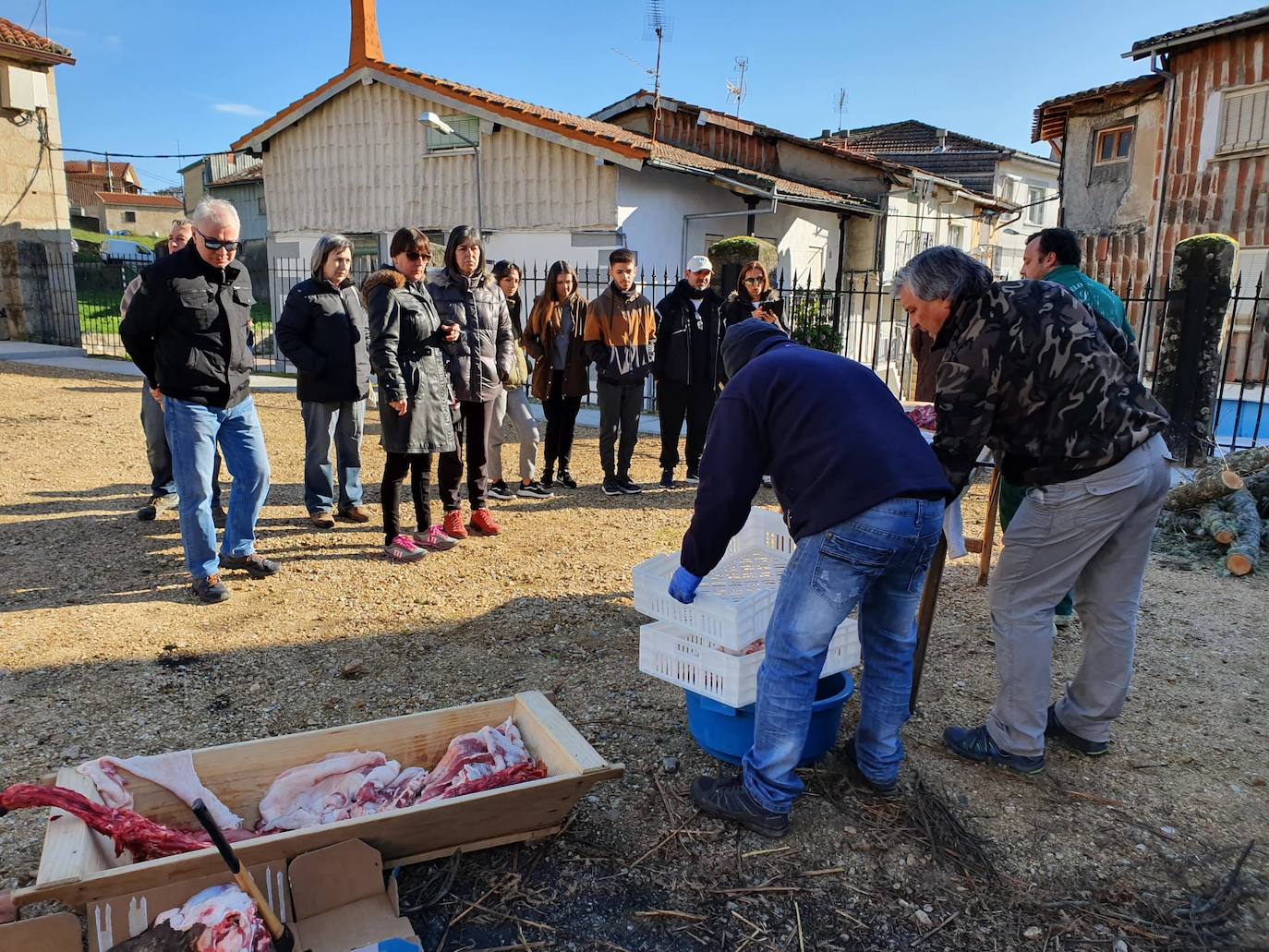 El despiece del cerdo, a partir del que se sacaron costilletas, lomo, chorizos, torreznos, morcilla o panceta, se llevó a cabo en la Plaza Mayor del municipio