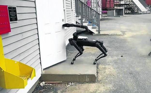 Robot de cuatro patas capaz de entrar en edificios y comprobar que están libres de peligros.