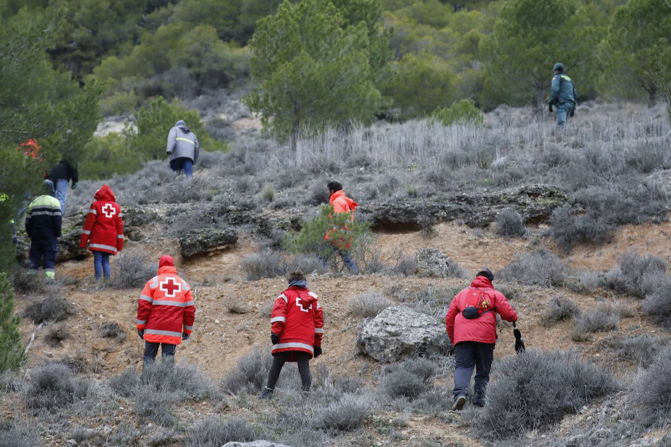 Ha sobrevivido 41 horas a la intemperie en un pinar a 3,8 kilómetros de su casa. 