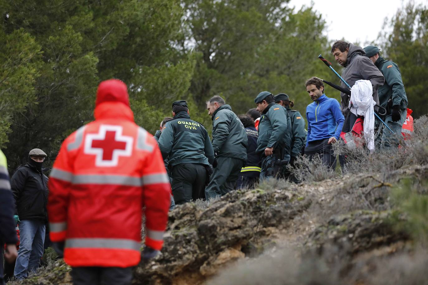 Ha sobrevivido 41 horas a la intemperie en un pinar a 3,8 kilómetros de su casa. 