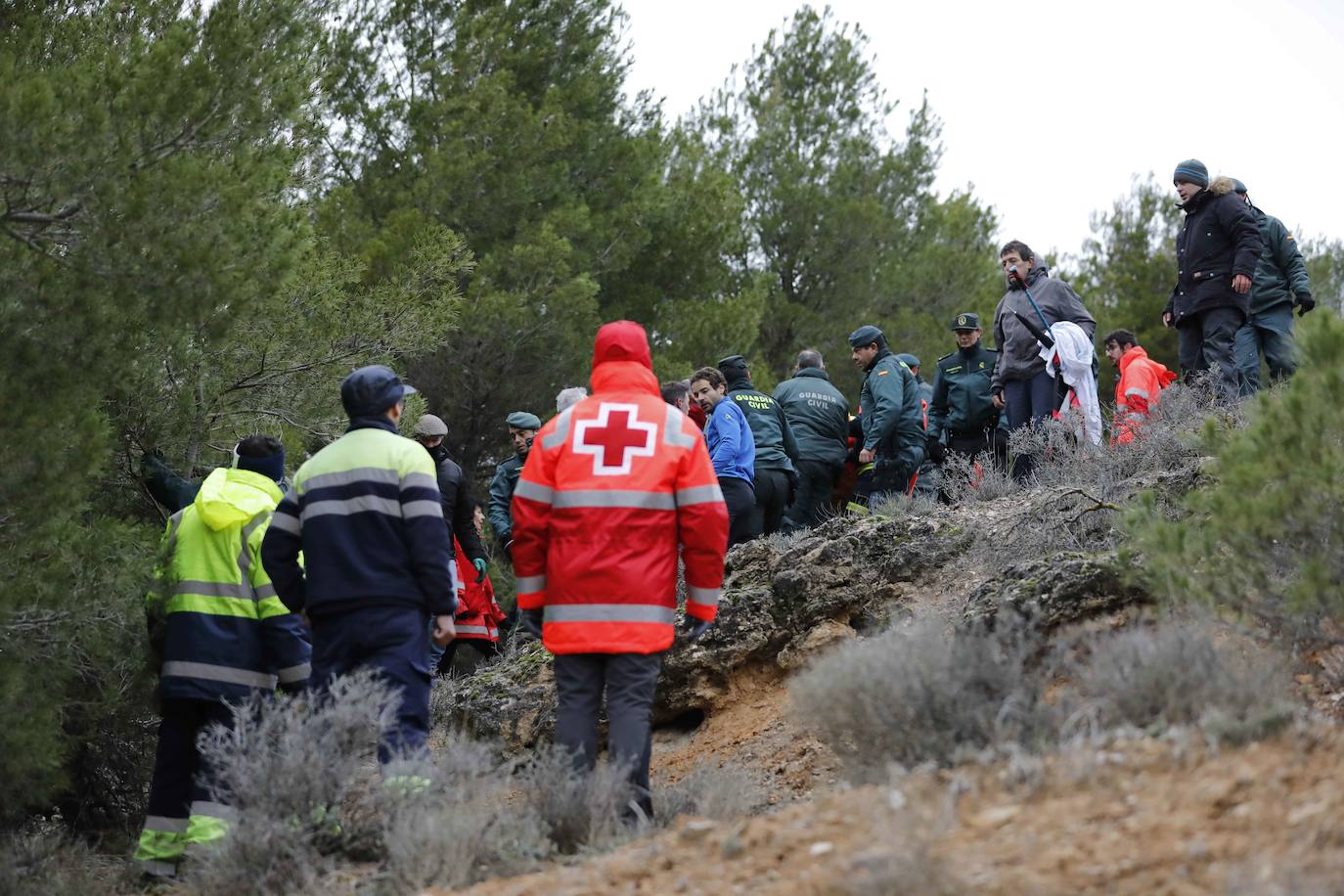 Ha sobrevivido 41 horas a la intemperie en un pinar a 3,8 kilómetros de su casa. 