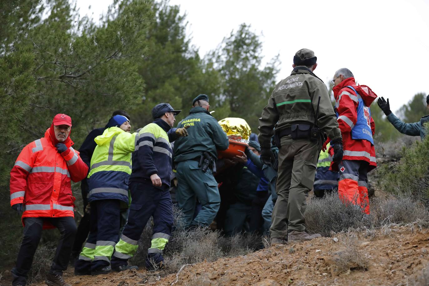 Ha sobrevivido 41 horas a la intemperie en un pinar a 3,8 kilómetros de su casa. 