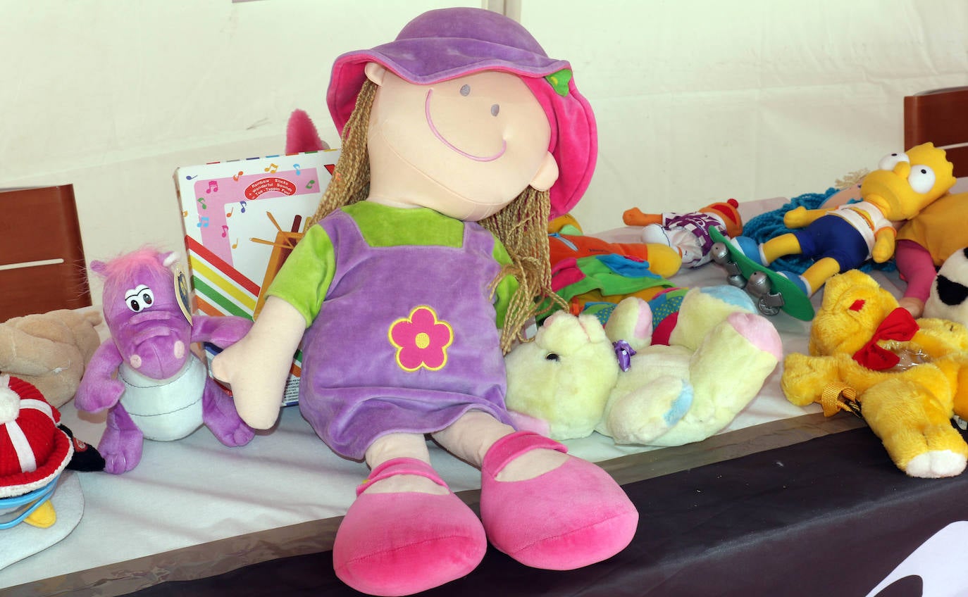 La carpa permanecerá instalada en la Plaza Zorrilla este viernes, el sábado 14 y el domingo 15, de 12:00 a 15:00 horas y de 17:00 a 20:00 horas.