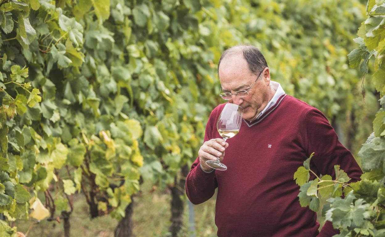 El bodeguero carlos Moro en un viñedo de la Do Ribeiro. 