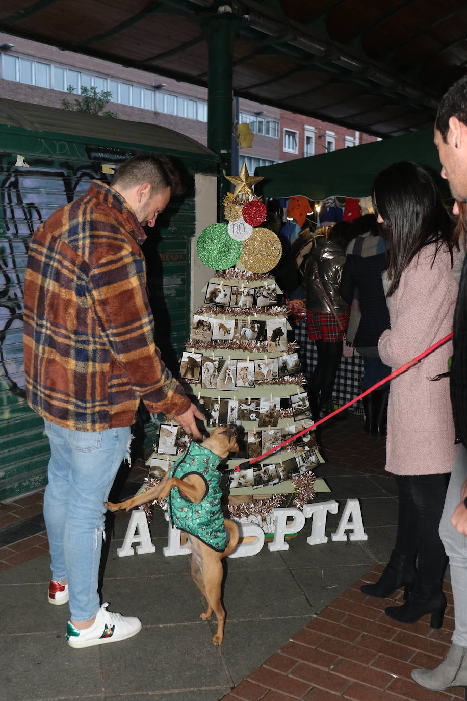 La primera edición de Animalid ha congregado este domingo en Plaza de España de Valladolid a una veintena de asociaciones protectoras, que han dado a conocer la labor que realizan con los animales abandonados y han acercado a la ciudad su «propia realidad» sobre esta forma de maltrato.