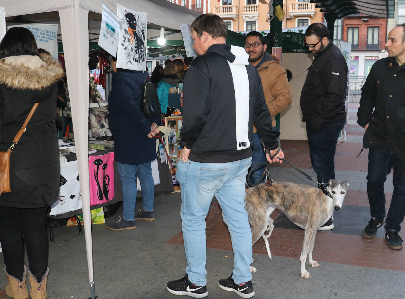 La primera edición de Animalid ha congregado este domingo en Plaza de España de Valladolid a una veintena de asociaciones protectoras, que han dado a conocer la labor que realizan con los animales abandonados y han acercado a la ciudad su «propia realidad» sobre esta forma de maltrato.