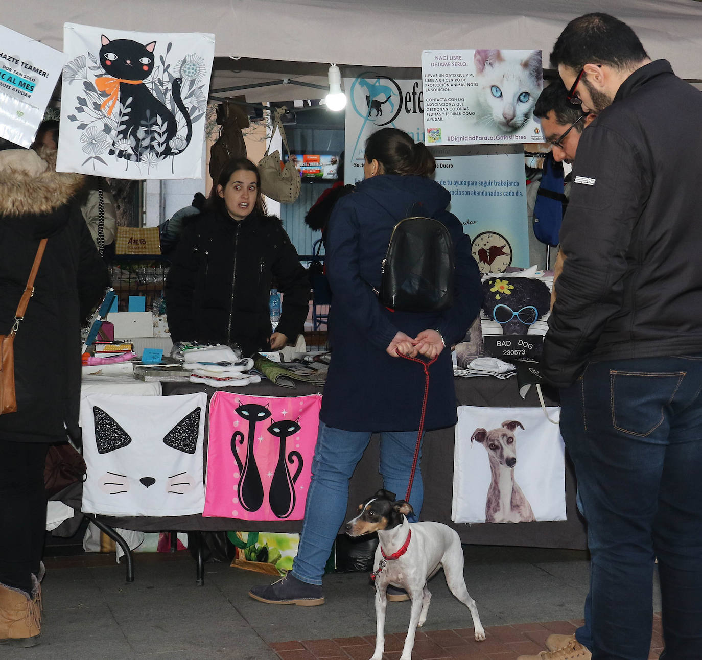La primera edición de Animalid ha congregado este domingo en Plaza de España de Valladolid a una veintena de asociaciones protectoras, que han dado a conocer la labor que realizan con los animales abandonados y han acercado a la ciudad su «propia realidad» sobre esta forma de maltrato.