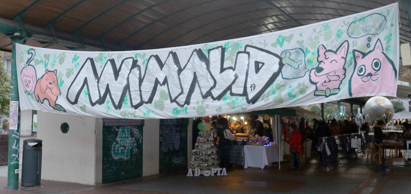 La primera edición de Animalid ha congregado este domingo en Plaza de España de Valladolid a una veintena de asociaciones protectoras, que han dado a conocer la labor que realizan con los animales abandonados y han acercado a la ciudad su «propia realidad» sobre esta forma de maltrato.