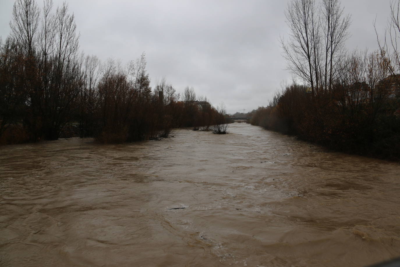 Fotos: El rio Bernesga, a punto de desbordarse a su paso por la capital leonesa