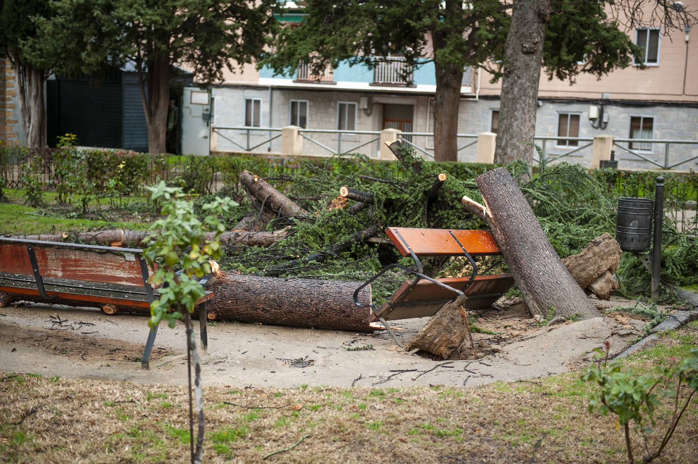 Efectos del vendaval en la ciudad. 