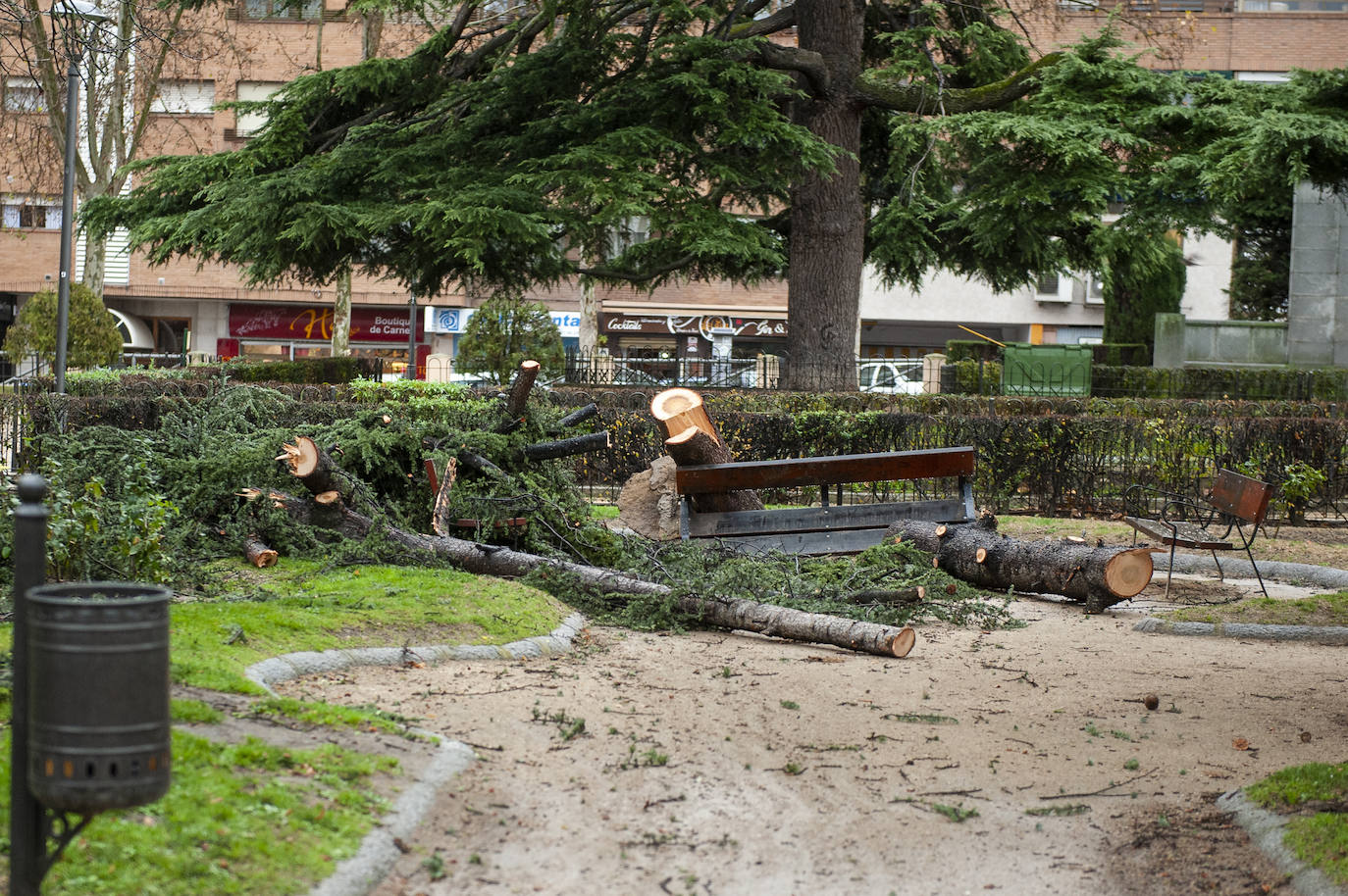 Efectos del vendaval en la ciudad. 
