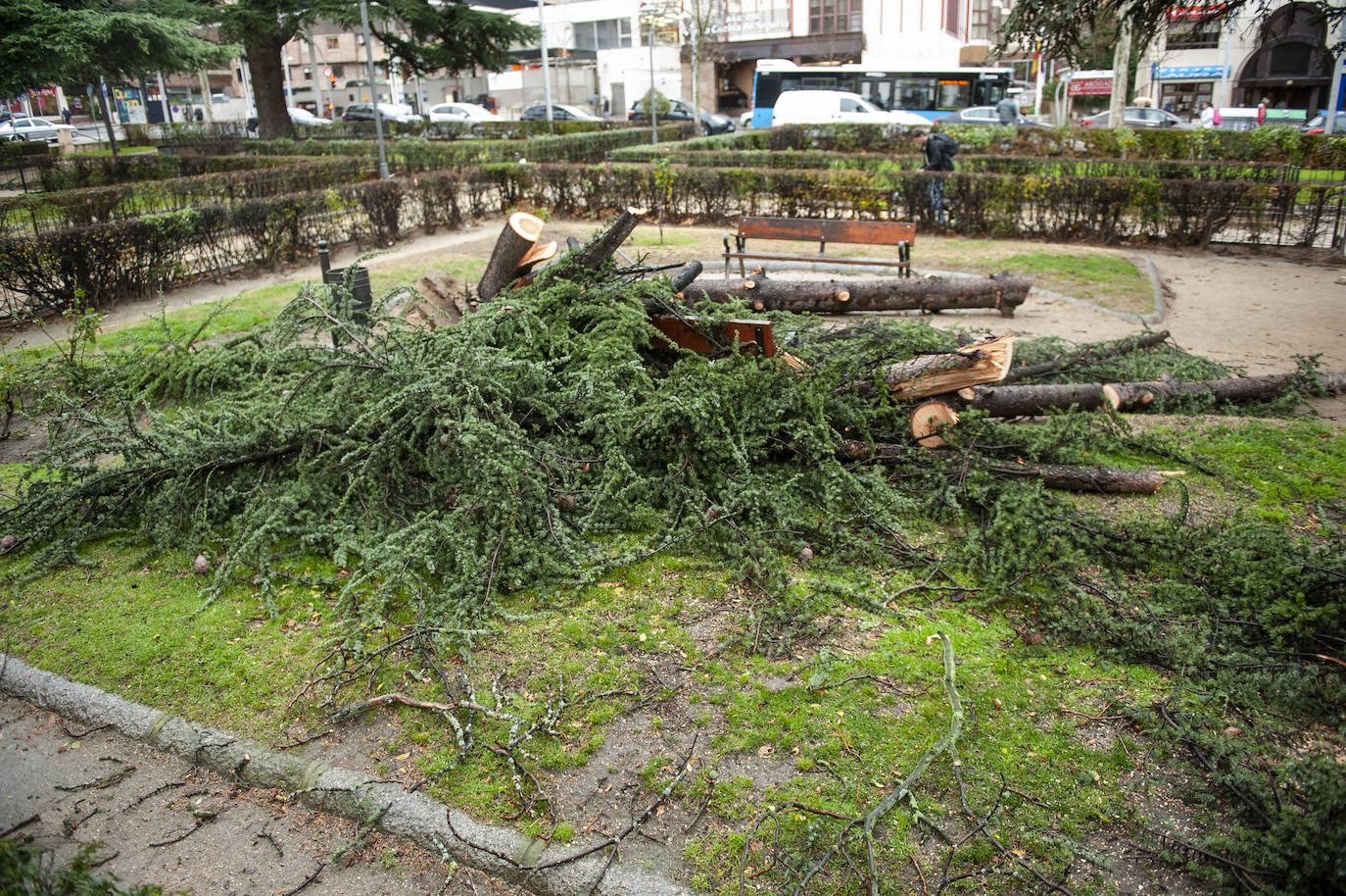 Efectos del vendaval en la ciudad. 