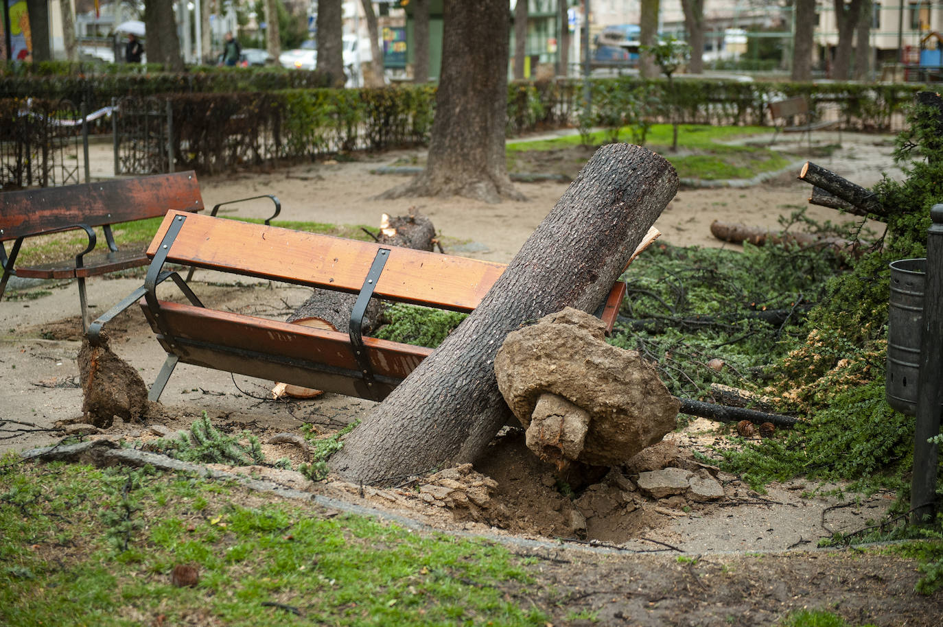 Efectos del vendaval en la ciudad. 