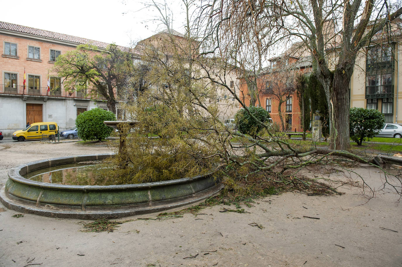 Efectos del vendaval en la ciudad. 