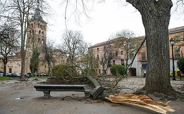 Imagen principal - Efectos del temporal en distintos puntos de la ciudad. 