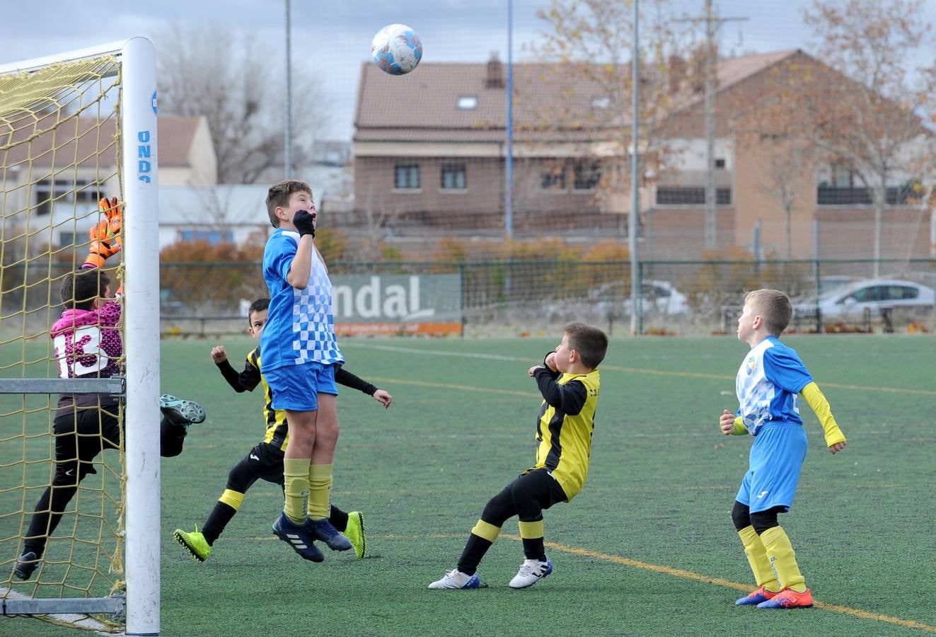 Fotos: Deporte Base del 14 y 15 de diciembre. Valladolid