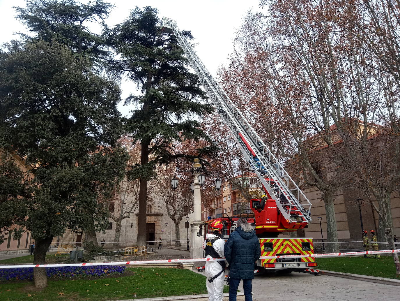 Retirada de dos nidos de cigüeña en la plaza de la Trinidad de Valladolid.