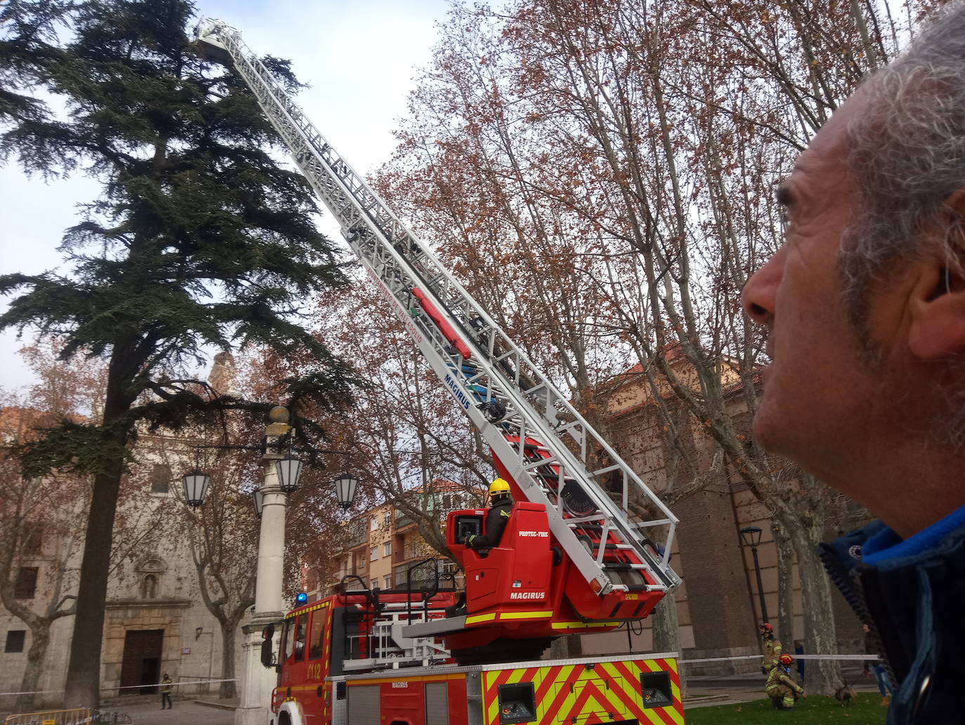 La intervención, en una zona céntrica de Valladolid, ha quitado los materiales acumulados por las aves ante el peligro de desplome, con pesos de alrededor de 500 y 1.000 kg