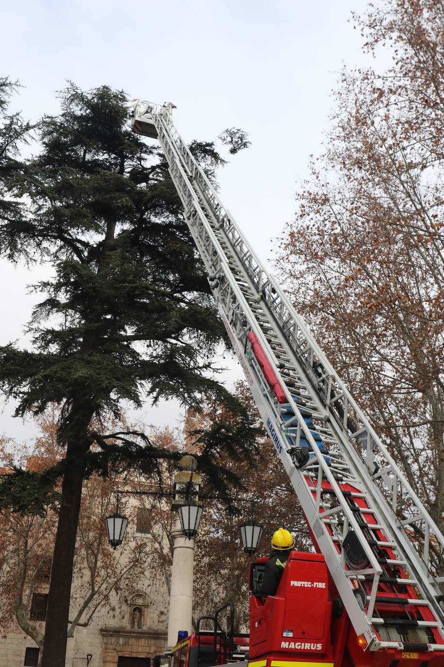 La intervención, en una zona céntrica de Valladolid, ha quitado los materiales acumulados por las aves ante el peligro de desplome, con pesos de alrededor de 500 y 1.000 kg