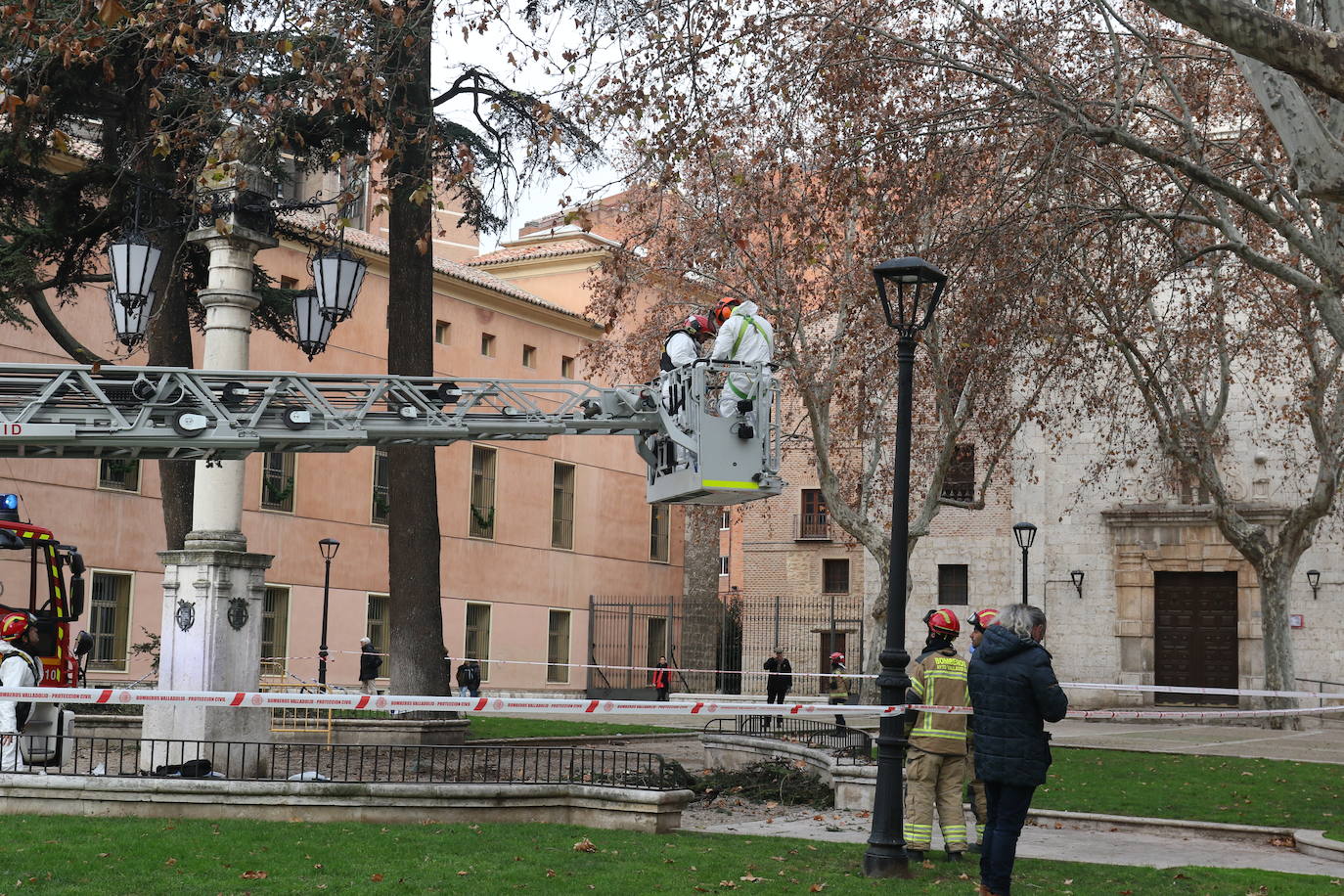 La intervención, en una zona céntrica de Valladolid, ha quitado los materiales acumulados por las aves ante el peligro de desplome, con pesos de alrededor de 500 y 1.000 kg