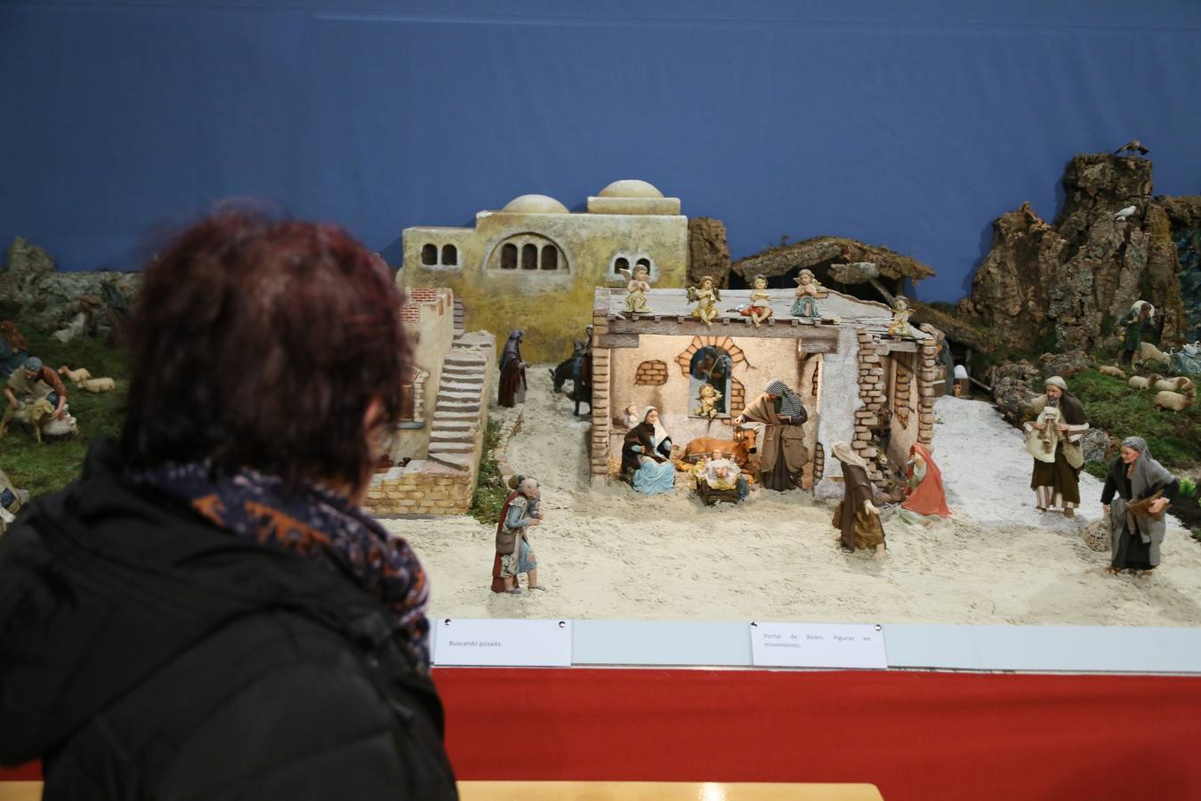 Fotos: Belén de la familia Trebolle-Liz instalada en el Palacio Real de Valladolid