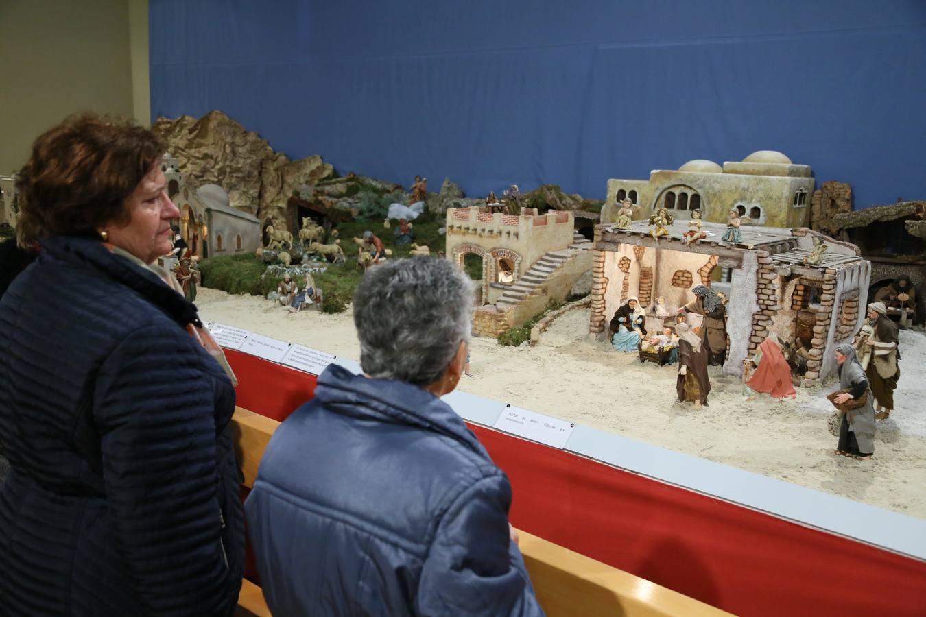 Fotos: Belén de la familia Trebolle-Liz instalada en el Palacio Real de Valladolid