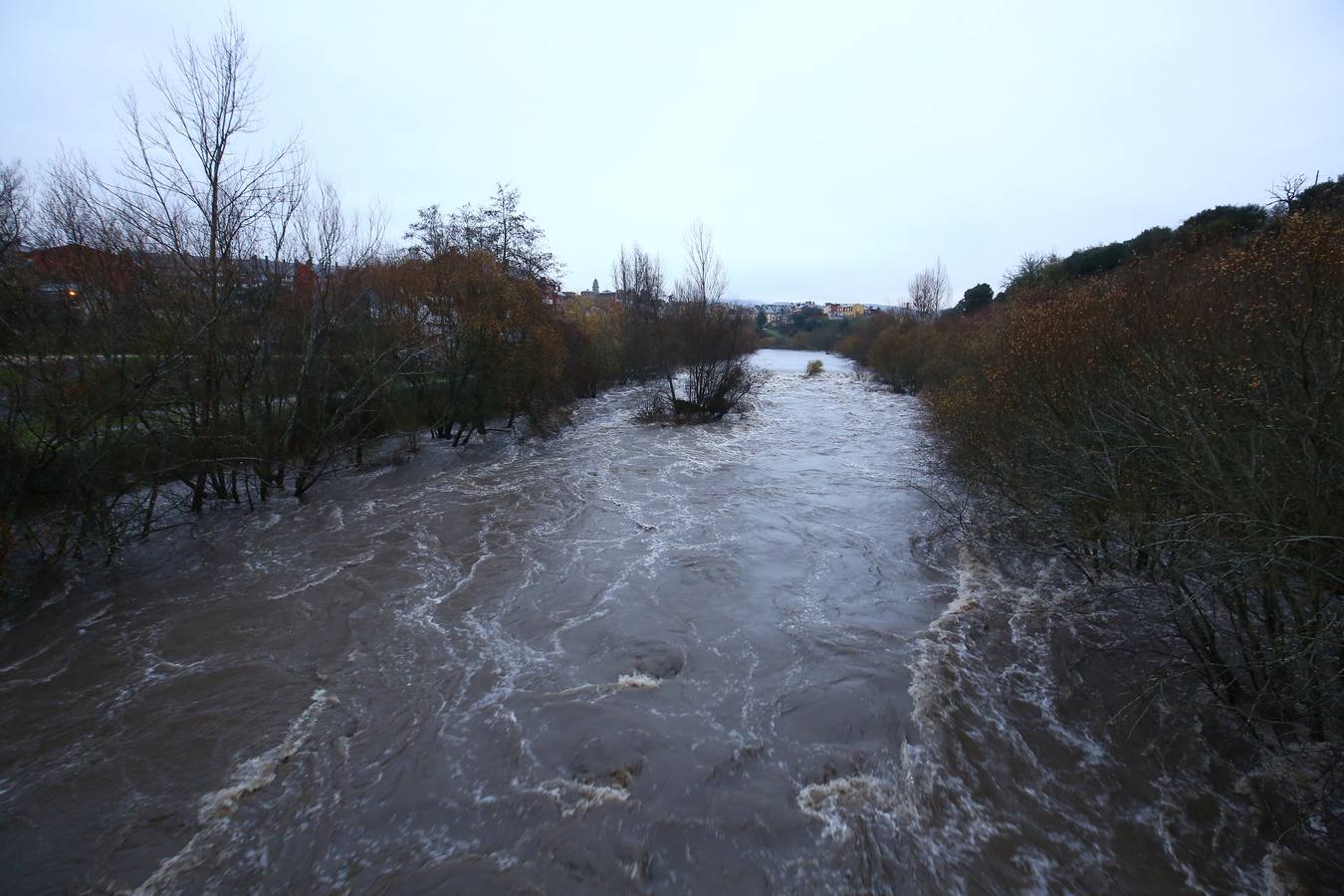 Los ríos Sil y Boeza desbordados a su paso por Ponferrada.