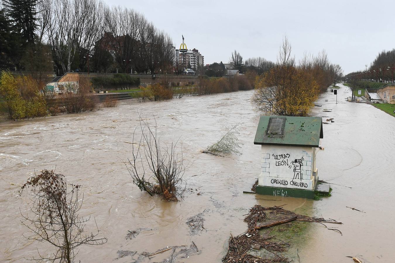 El caudal del río Bernesga se sale de sus márgenes a su paso por la capital leonesa