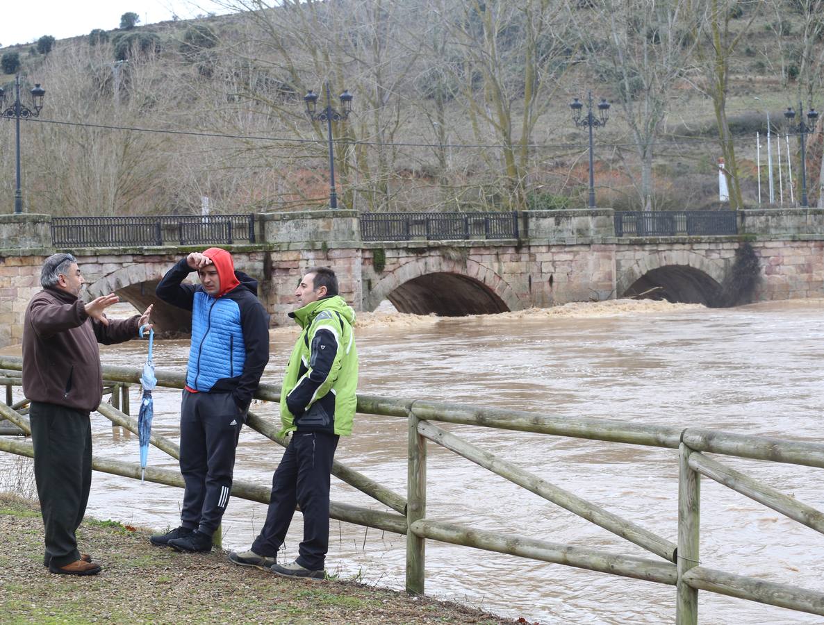 Río Pisuerga a su paso por Alar del Rey.