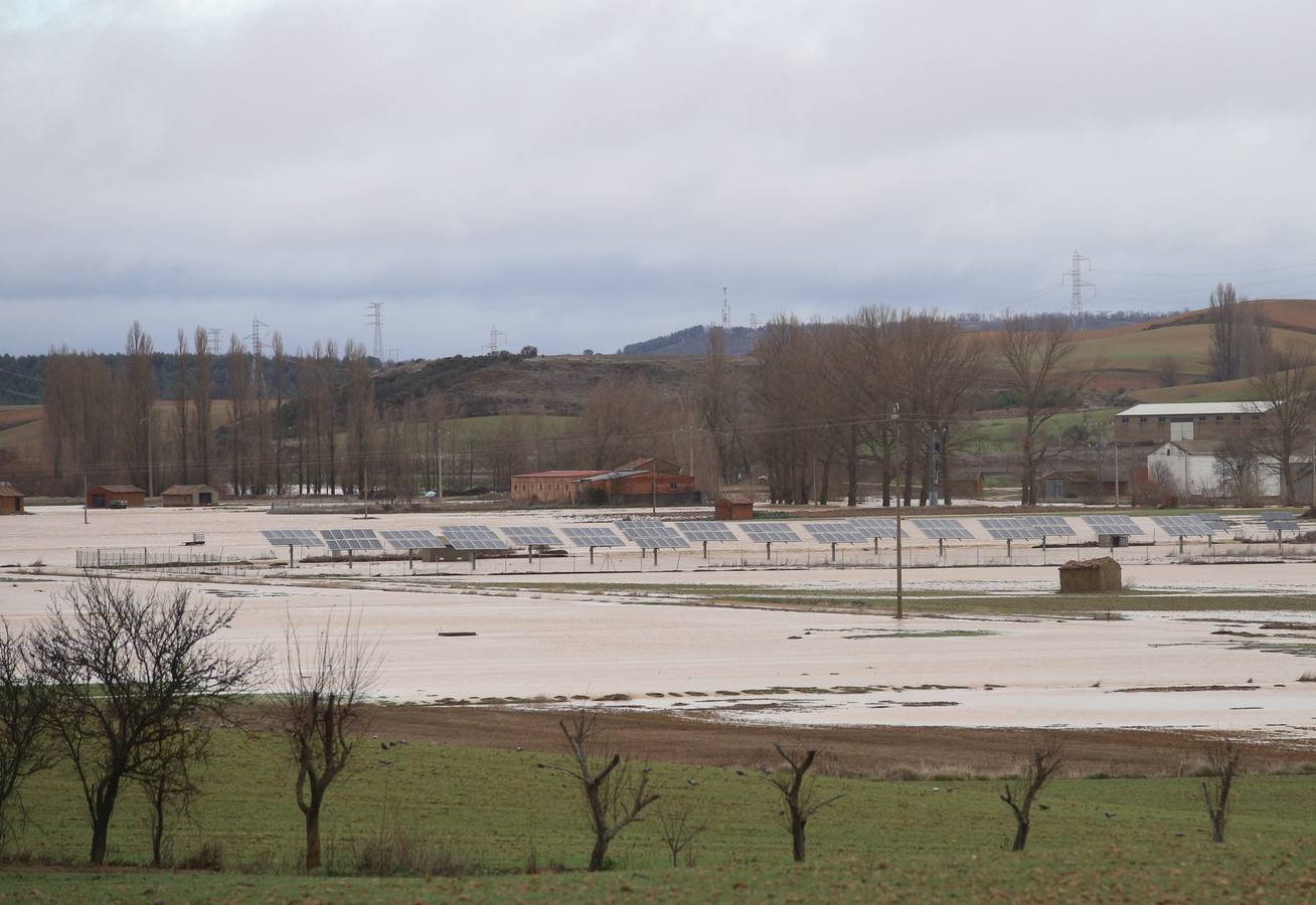 Campos anegados en Espinosa de Villagonzalo.