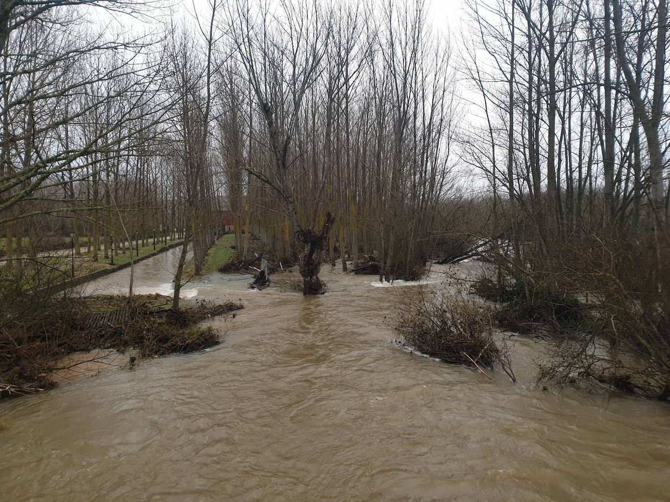 Fotos: El temporal &#039;Elsa&#039; azota al norte de Palencia