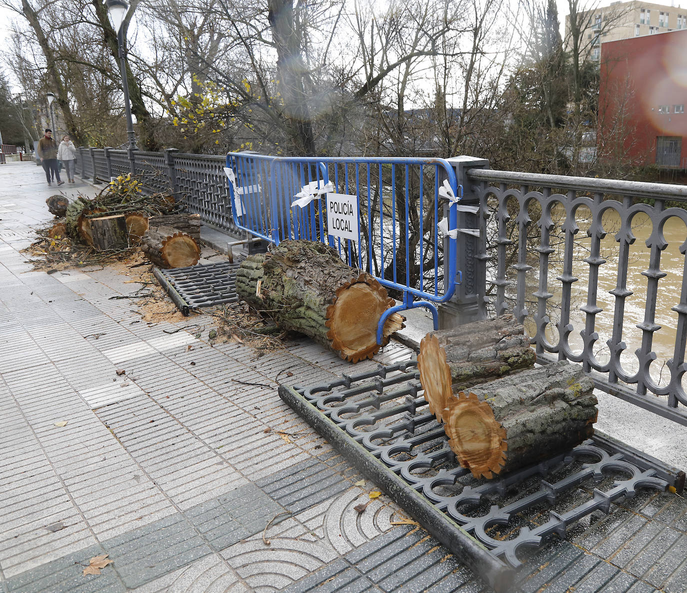 Árboles caidos, puentes y parques anegados por la crecida del río. 