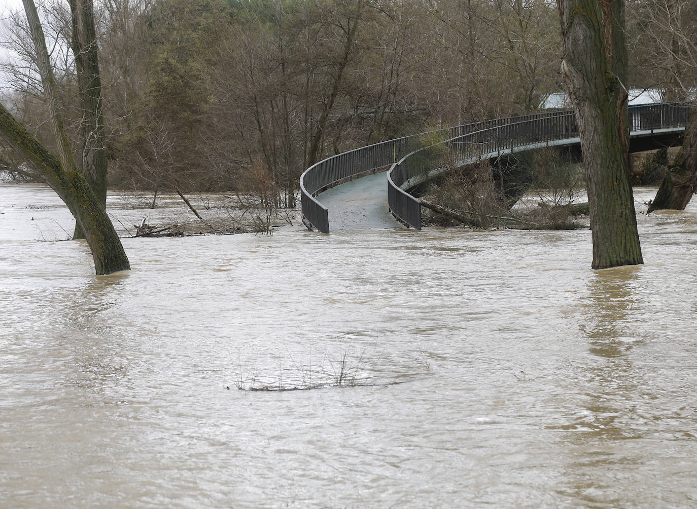 Árboles caidos, puentes y parques anegados por la crecida del río. 