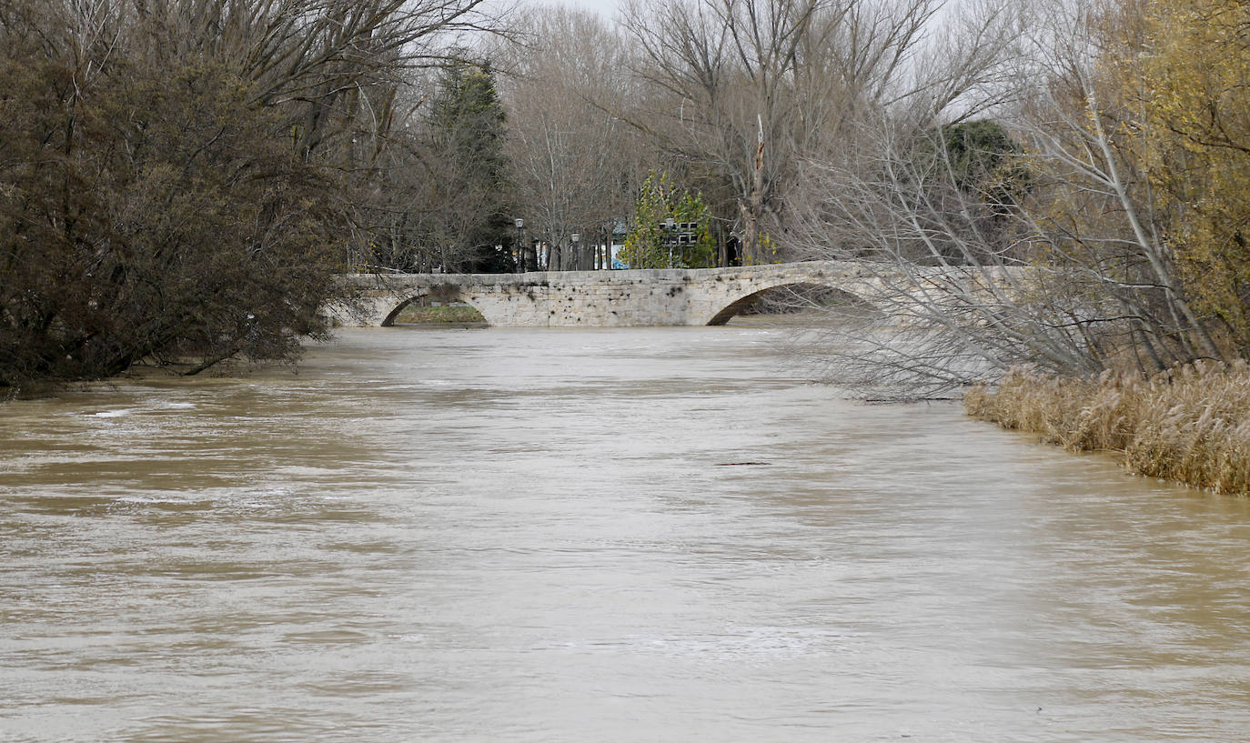 Árboles caidos, puentes y parques anegados por la crecida del río. 