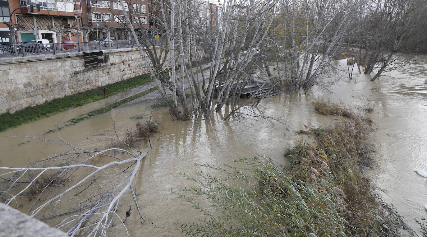 Árboles caidos, puentes y parques anegados por la crecida del río. 