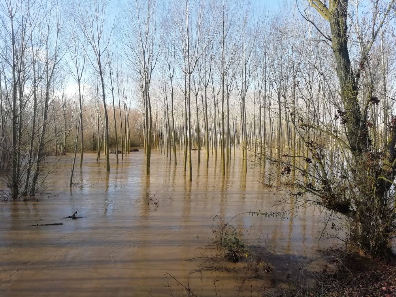 El río Cea a su paso por Melgar de Abajo